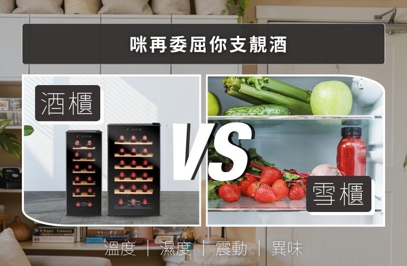 【酒櫃VS雪櫃】紅酒放雪櫃會變壞？| 蝸居儲酒必選 | 香港家用細酒櫃推介